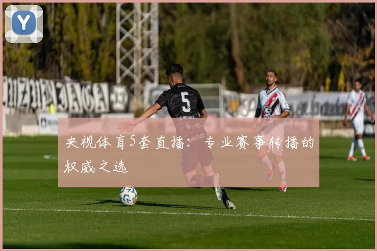 央视体育5套直播:专业赛事转播的权威之选